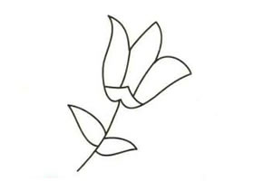 百合花简笔画