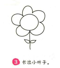 太阳花简笔画画法步骤03