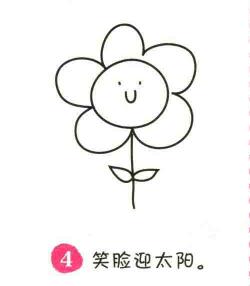 太阳花简笔画画法步骤04