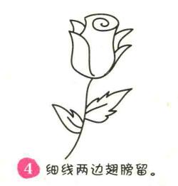 玫瑰花简笔画画法步骤04