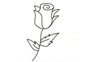 玫瑰花简笔画