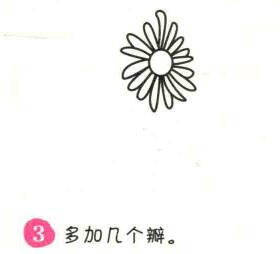菊花简笔画画法步骤03