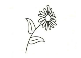 菊花简笔画