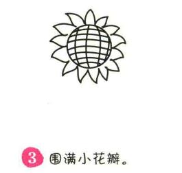 向日葵简笔画画法步骤03