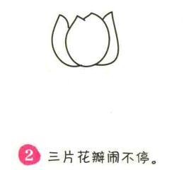 郁金香简笔画画法步骤02