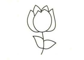 郁金香简笔画
