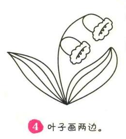 铃兰花简笔画画法步骤04