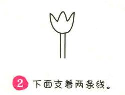 鸡冠花简笔画画法步骤02