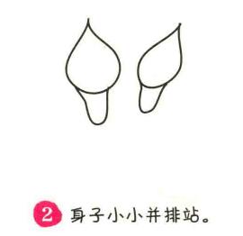 马蹄莲简笔画画法步骤02