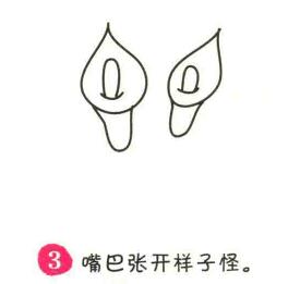 马蹄莲简笔画画法步骤03