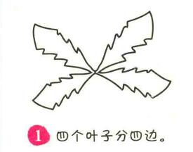 蒲公英简笔画画法步骤01