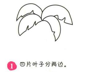 椰子树简笔画画法步骤01