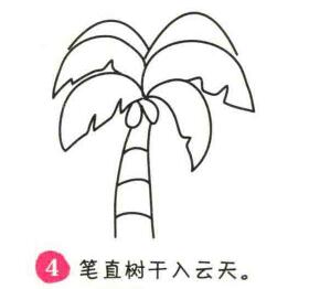 椰子树简笔画画法步骤04
