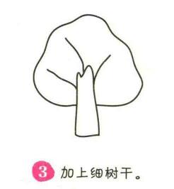 杨树简笔画画法步骤03