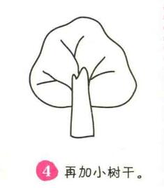 杨树简笔画画法步骤04