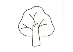 杨树简笔画