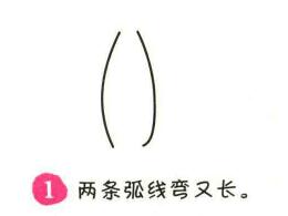 瓶树简笔画画法步骤01