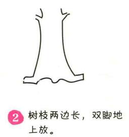银杏树简笔画画法步骤02