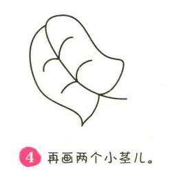 树叶简笔画画法步骤04