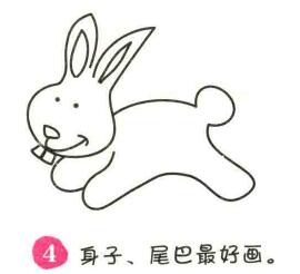 兔子简笔画画法步骤04