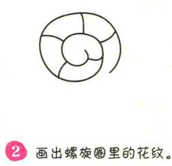 蜗牛简笔画画法步骤02