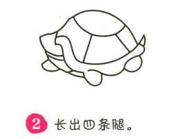 乌龟简笔画画法步骤02