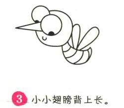 蚊子简笔画画法步骤03