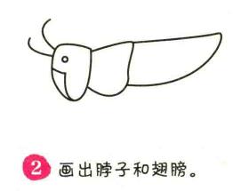 蚂蚱简笔画画法步骤02