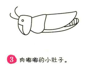 蚂蚱简笔画画法步骤03