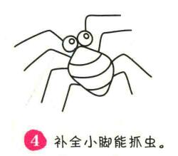 蜘蛛简笔画画法步骤04