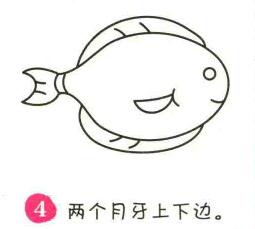 小鱼简笔画画法步骤04