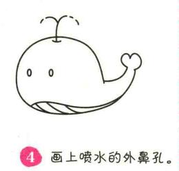 鲸鱼简笔画画法步骤04