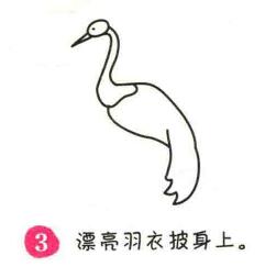 仙鹤简笔画画法步骤03