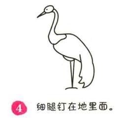 仙鹤简笔画画法步骤04