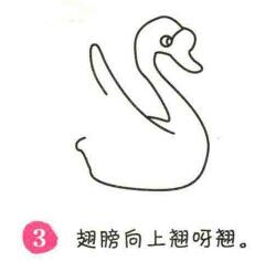 天鹅简笔画画法步骤03