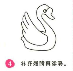 天鹅简笔画画法步骤04