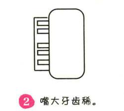 乐器简笔画画法步骤02