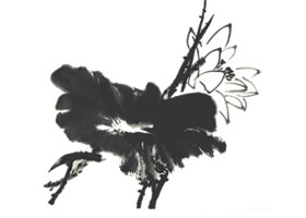 国画荷花创作示范二
