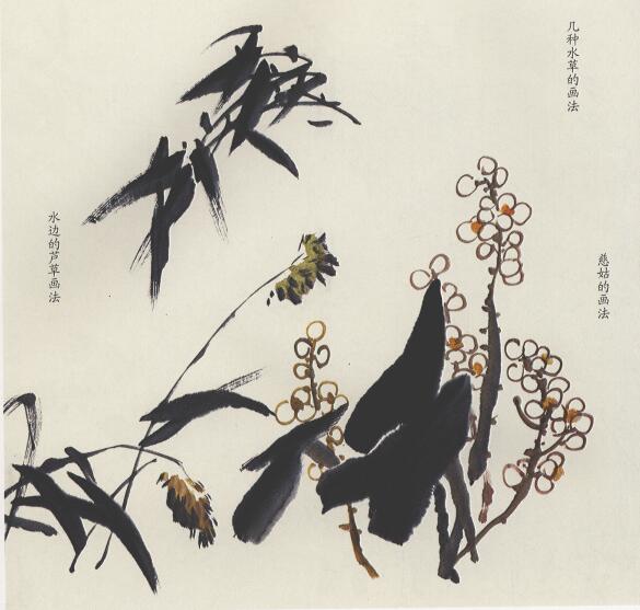 国画荷花杂草的画法