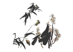 国画荷花杂草的画法