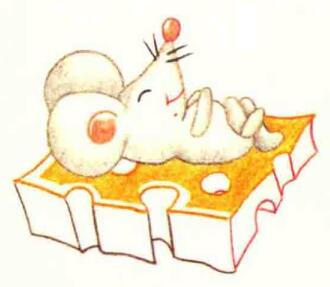 老鼠色铅笔简笔画画法步骤04