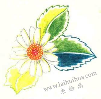 雏菊色铅笔简笔画画法步骤06