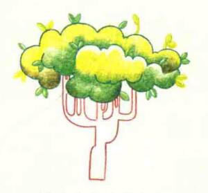 大树色铅笔简笔画画法步骤05