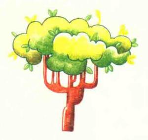 大树色铅笔简笔画画法步骤06