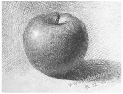 苹果的画法步骤03