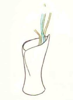 花瓶色铅笔简笔画画法步骤01