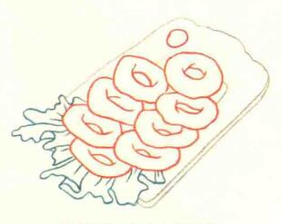 鱿鱼圈的色铅笔简笔画画法步骤02