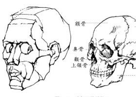 头像素描的特点