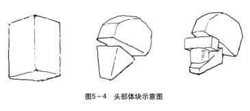 头部体块示意图