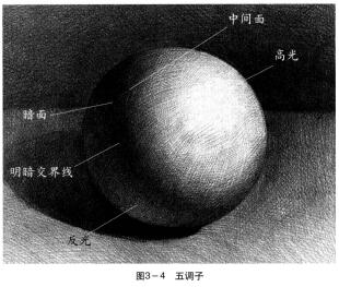 素描作画法则之五调子